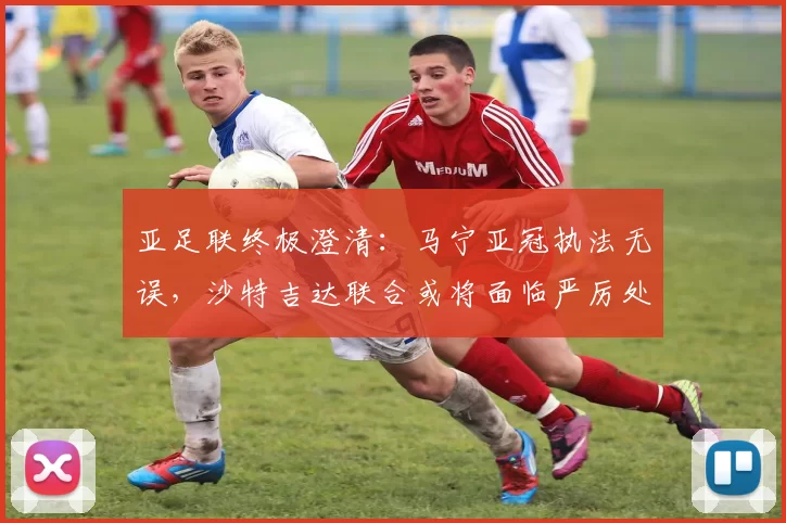 亚足联终极澄清：马宁亚冠执法无误，沙特吉达联合或将面临严厉处罚_裁判_1